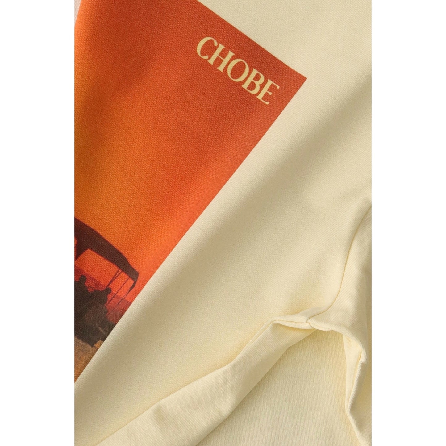 Chobe Postcard™️ t shirt - Sail/Cream